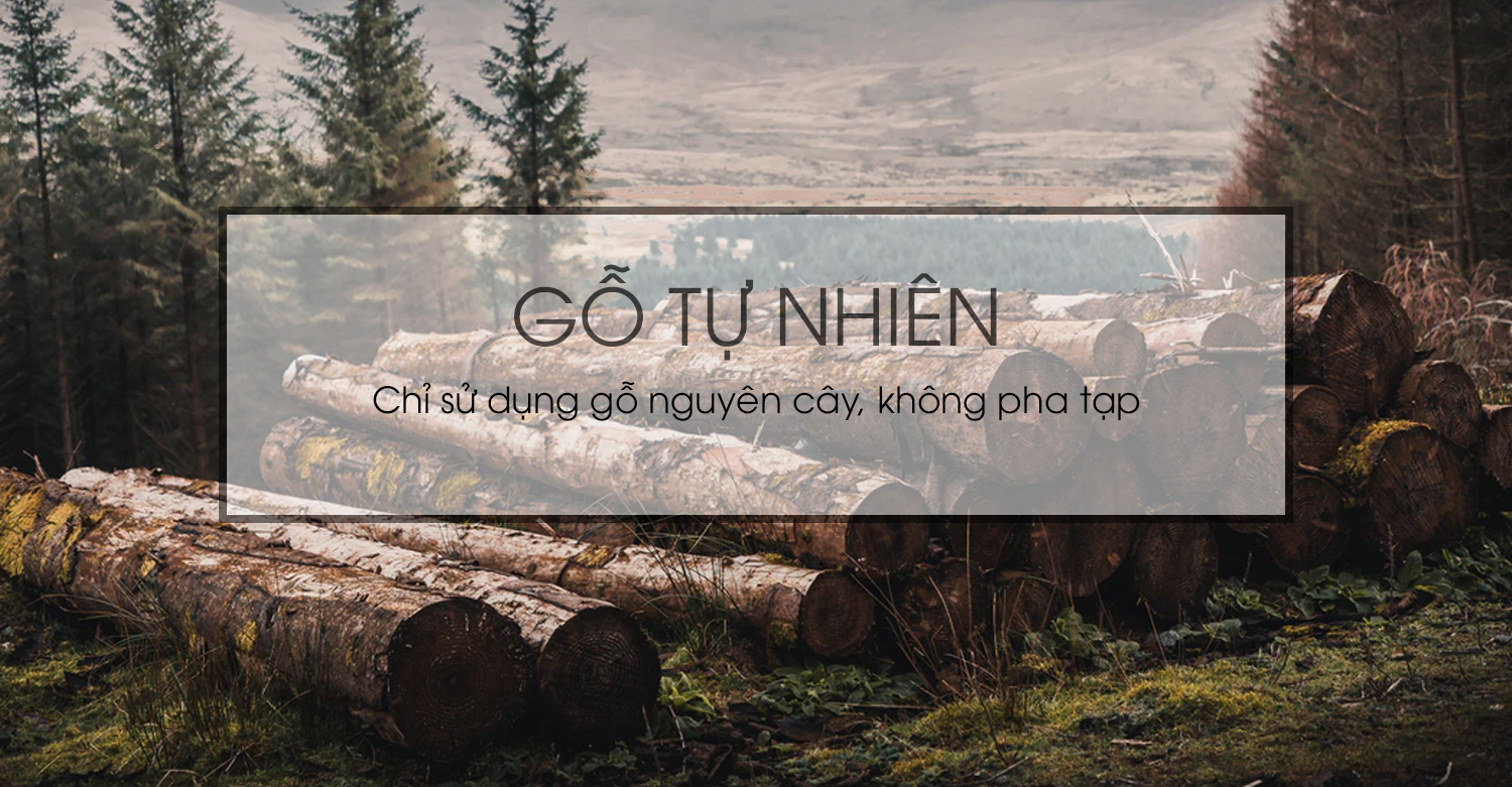 Ảnh mô tả sản phẩm - Sofa văng da cao cấp SF186